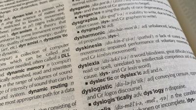 Synonyma, antonyma a homonyma - pracovní sešit - procvičování