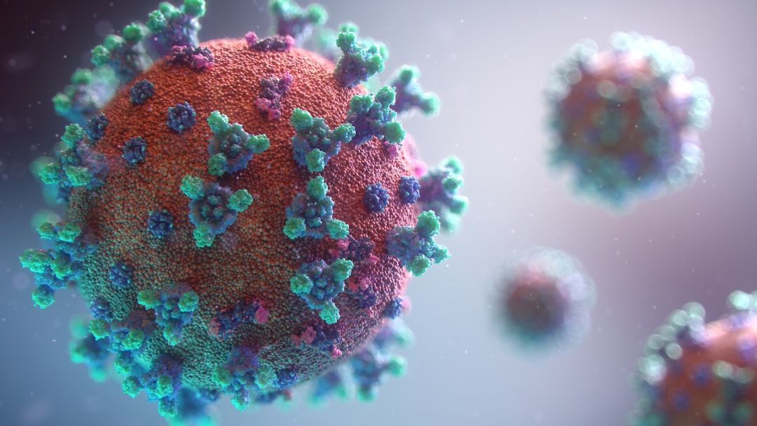 4) Viry: struktura, funkce a množení 🦠