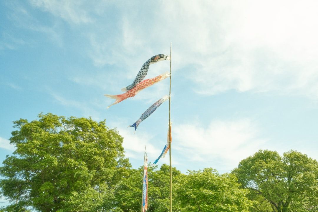 Občanka v praxi: stát a veřejný prostor