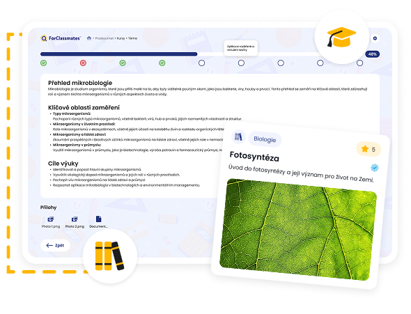 multimedia image