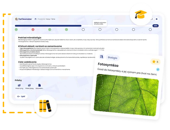 multimedia image